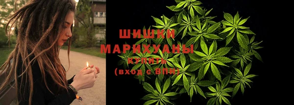 a pvp Осинники