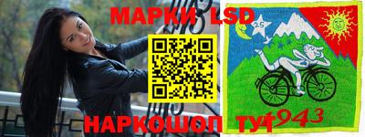 стаф Балахна