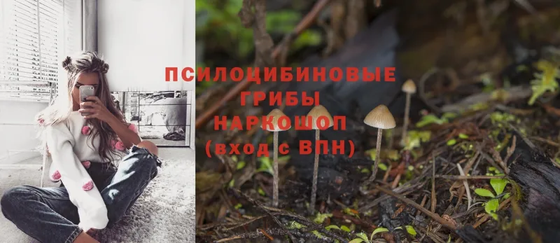 omg ONION  Пятигорск  Псилоцибиновые грибы MAGIC MUSHROOMS 