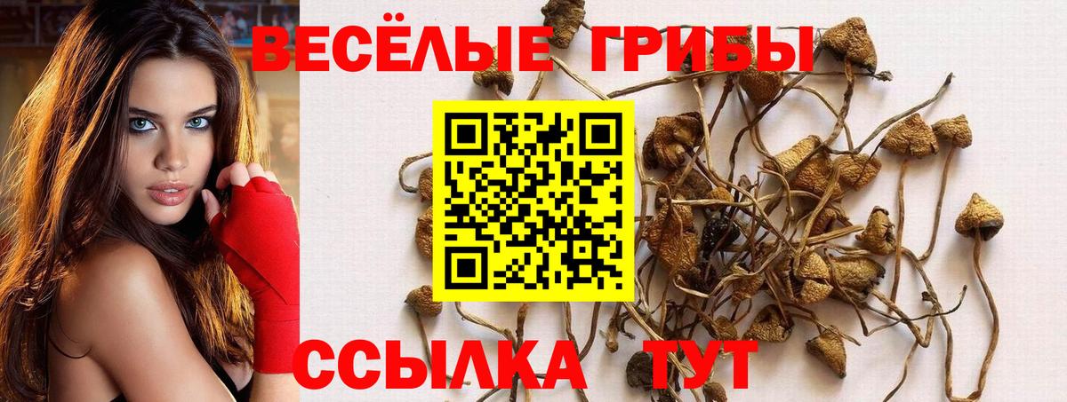 ГЕРОИН Пятигорск