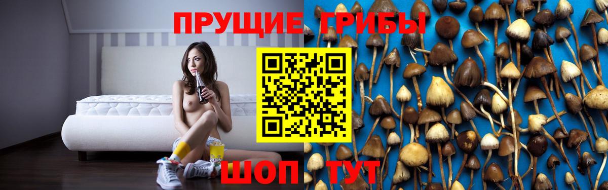 Псилоцибиновые грибы Psilocybe  Галлюциногенные грибы Magic Shrooms  Пятигорск  Вход с VPN 