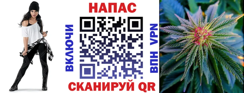Бошки Шишки конопля  закладка  Пятигорск 